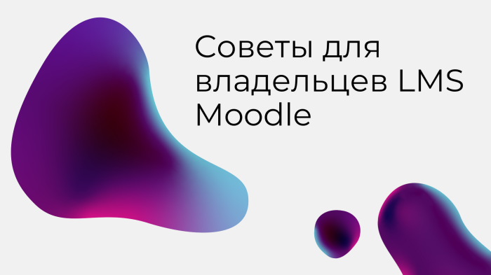 Советы для владельцев LMS Moodle: Аудит и оптимизация